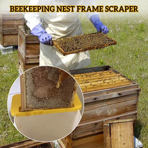 Beehive Frame Holder - Durable Beekeeping Tool 2
