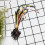 Assorted Color Plastic Jumper Wires for Electronic DIY Projects 65Pcs 10cm 15cm 20cm 7