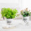 (100) Stylish Hydroponic Planter for Home & Office Decor 2
