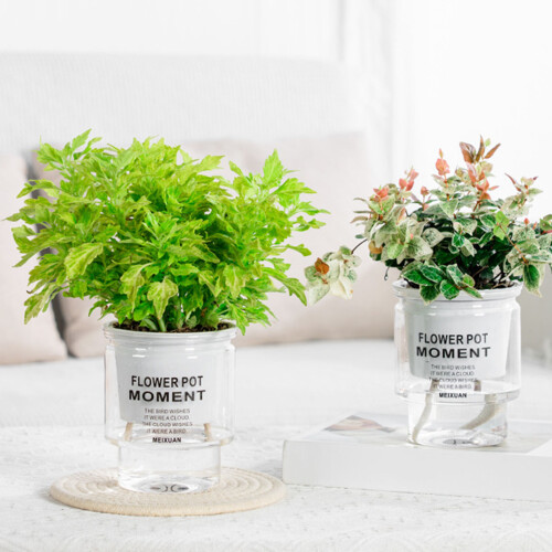 (100) Stylish Hydroponic Planter for Home & Office Decor 1