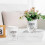 (100) Stylish Hydroponic Planter for Home & Office Decor 3