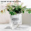 (100) Stylish Hydroponic Planter for Home & Office Decor 5