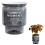 (100) Stylish Hydroponic Planter for Home & Office Decor 9