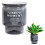 (100) Stylish Hydroponic Planter for Home & Office Decor 10