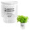 (100) Stylish Hydroponic Planter for Home & Office Decor 8
