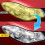 Auto Headlight Polishing Kit for Oxidation Removal and Lens 6