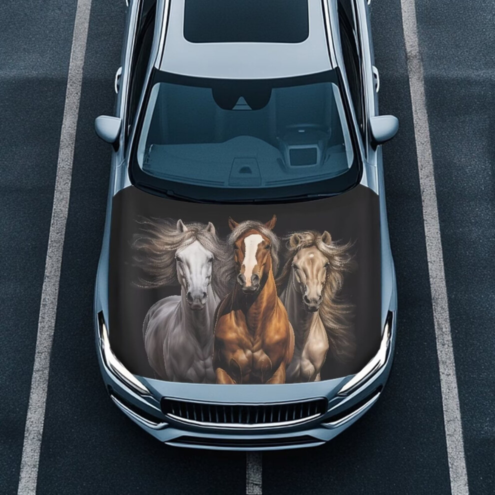 Quick-Dry Stretch Western Horse Hood Cover, Elastic Fabric Hood Protector & Decorative Wrap Â Compatible With Most Cars 9122141070801