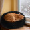Calming Anti-Anxiety Pet Bed with Raised Edge, Soft 3