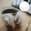 DIY Earmuff Supplies Plastic Frame 4 Pieces 7