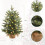 19 Inch Pre-Lit Green Artificial Christmas Tree Battery LED 3