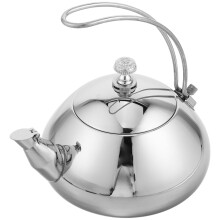 Théière En Acier Inoxydable Argentée Ergonomique