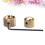Guitar Tone Knobs Dual Knobs Golden 1 Musicians 3