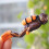 Ocean Diver Figurines 4 Pcs 6.521.8 cm 7