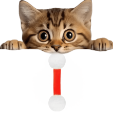 Robust tuggleksak för kattbitar med kattmynta – mjuk interaktiv sparkpinne för innekatter (röd, 1 st)