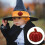 Κεντημένα μπαλώματα Qocolhg για το Halloween – Απλικέ κολοκύθας με σιδερένιο σχέδιο για 2