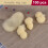 Stri 100pcs Hair Nets Invisible Elastic Mesh (Gold) 7