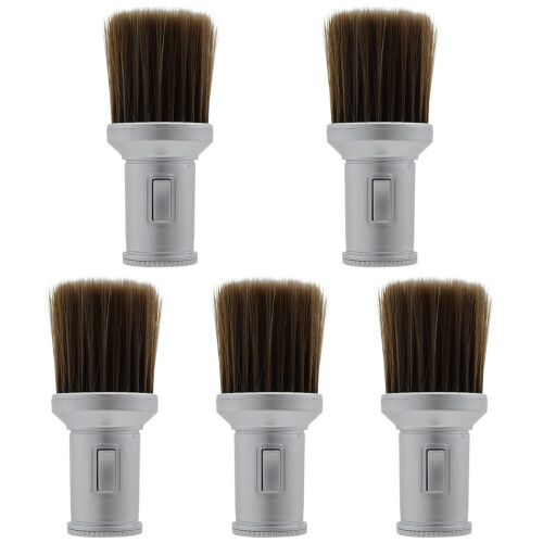 5Pièces Brosse Argentée Densité Nettoyage