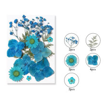 Colorful Natural Dried Flowers Embossed Decorative Set, Home Decor Murals, Painting Materials, Photo Frame Cake Decoration