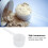 10pcs Transparent Plastic Measuring Spoons with Scale, Long Handle, PP 3
