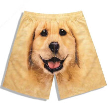 Polyester Fibre Funny Dog Pattern Shorts for Casual Walking and Home Sleepwear in 2024