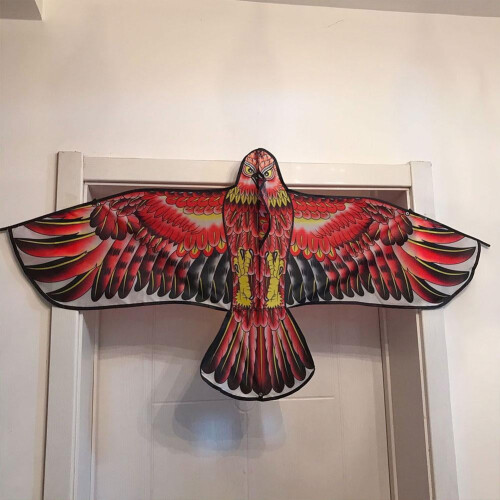 Flat Eagle Kite Big Fly Bird Kite For Children includes 20m kite line 2