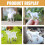 Figurines de chèvres blanches en PVC (8 pièces) 5