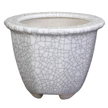 (01) White Crackle Ceramic Succulent Planter