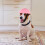 ETEREAUTY Portable Pet Pink ABS 1Pcs 7