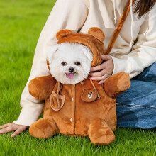 Cute Bear & Bee Plush Pet Carrier Backpack for Kitten, Puppy, Small Dog – Anti-Escape, Outdoor Travel (Brown, Medium)