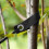ROSENICE 5Pcs Tree Fixing Straps Nylon Heavy Duty Tree Support Straps For Garden Use 5