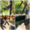 ROSENICE 5Pcs Tree Fixing Straps Nylon Heavy Duty Tree Support Straps For Garden Use 7
