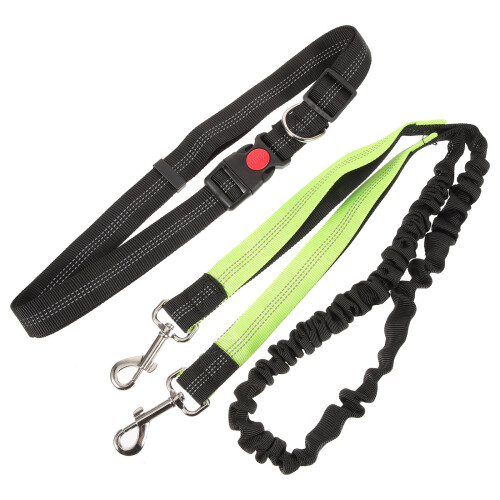 Laisse Ceinture Polyester Pour Chien Course Randonnée Sécurité