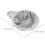 Cat Hammock Replacement Cat Tree Hammock Replacement Light Grey 1Pack 8