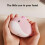 Portable USB Hand Warmer with Vibration Massage & Heating Pad, Compatible with USB Power Sources 5