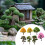 7 Pieces Miniature Artificial Trees Mixed Model Trees for Diorama DIY Crafts 7