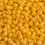 Glass Spacer Beads Deep Yellow 2mm 1000pcs 1
