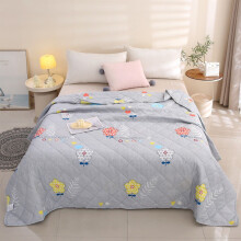 Summer Quilt 59x39Inch Super Soft Clouds Cool Breathable Lightweight Conditioned Quilt Thin Summer Quilt with Flower Pattern In Student Dormitory