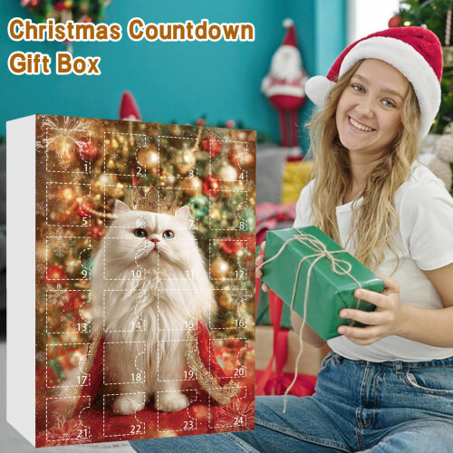 Katt Adventskalender med 24Ornaments 1