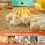 Digital Chick Brooder Heater with Remote, Adjustable Temp & Fan – Compatible with Chicken Coops, Poultry Housing 6