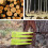 2Pcs Tree Felling Wedge for Professionals Green Plastic Logging Tool 14x6.8cm 8