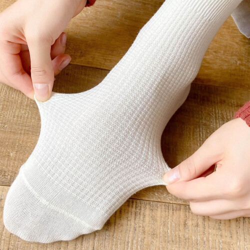 Women's Ruffle Ankle Socks Scalloped Pointelle Solid 4 Pairs 1