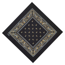 Hiphop Square Scarf, Paisleys Pattern Handkerchief Bandanas Multipurpose Handkerchief Outdoor Scarf for Men and Women Neckwear