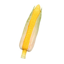 COMEET Realistic Corns,Artificial Corn Realistic Simulation Food Decoration for Home Decoration Thanksgiving Decoration Display, Photo Props