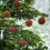 6 Pcs Flocked Christmas Balls, 8 cm, Brown 4