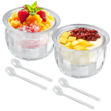 2 PCS Transparent Double-Layer Ice Bowls for Picnics & Camping, with 4 Spoons – Multi-Purpose Serving Bowls for Parties, Fruit, Snacks