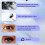 (204) Faux Cils DIY Volume Naturel 1