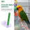 Natural Wood Bird Perch with Multi Acrylic Cups for Parrot 7