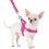 No Pull Fuchsia Small Dog Harness and Leash Set with Foldable Drinking Bowl 1