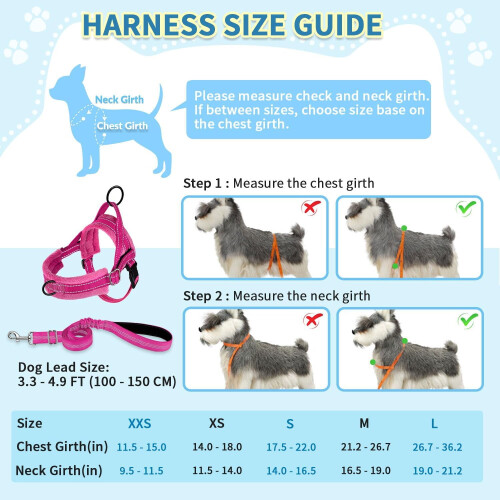 No Pull Fuchsia Small Dog Harness and Leash Set with Foldable Drinking Bowl 2