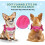 No Pull Fuchsia Small Dog Harness and Leash Set with Foldable Drinking Bowl 5